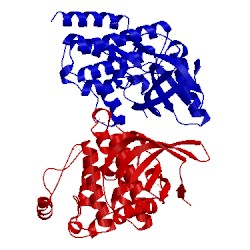 Image of CATH 4d5k