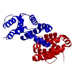 Image of CATH 4d5r