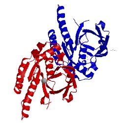 Image of CATH 4d6p