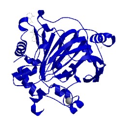 Image of CATH 4d6r