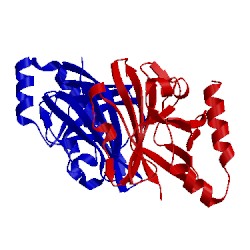 Image of CATH 4d70