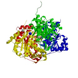 Image of CATH 4d79
