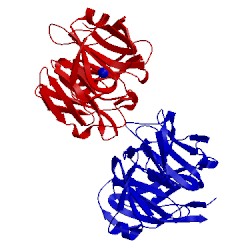 Image of CATH 4d7c