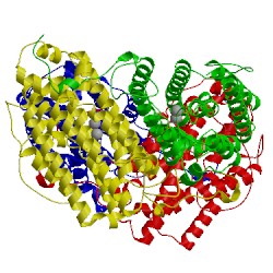 Image of CATH 4d8f