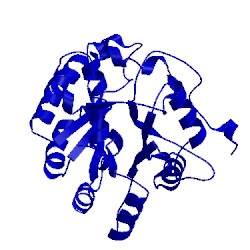 Image of CATH 4d8l