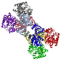Image of CATH 4d8u