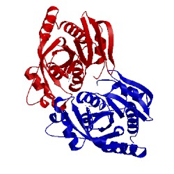 Image of CATH 4d8v