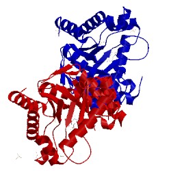 Image of CATH 4d8z