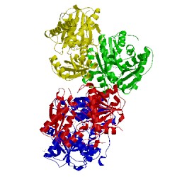Image of CATH 4d92