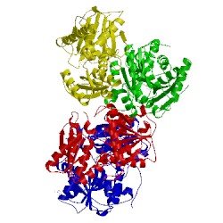 Image of CATH 4d9f