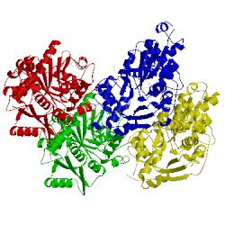 Image of CATH 4d9k