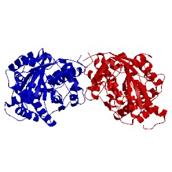 Image of CATH 4d9m