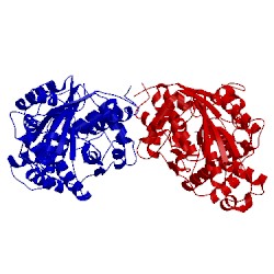Image of CATH 4d9n