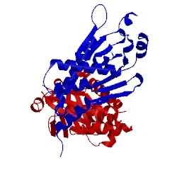 Image of CATH 4d9o