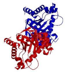 Image of CATH 4daf