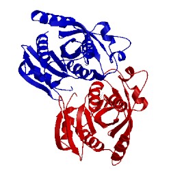 Image of CATH 4dan