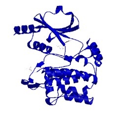 Image of CATH 4daw