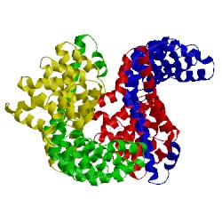 Image of CATH 4dba