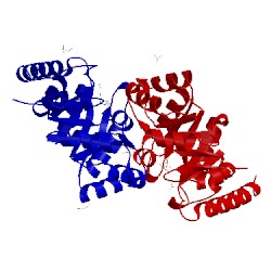 Image of CATH 4dbe