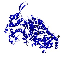 Image of CATH 4dbp