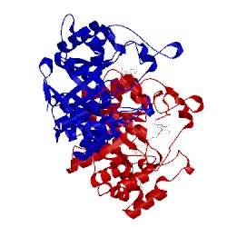 Image of CATH 4dbs