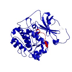 Image of CATH 4dc2