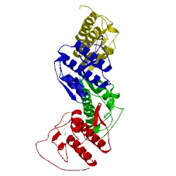 Image of CATH 4dcf
