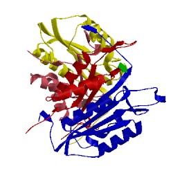 Image of CATH 4dcp
