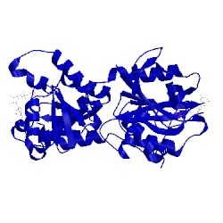 Image of CATH 4dct