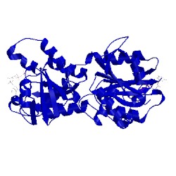 Image of CATH 4dcu