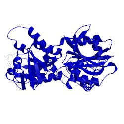 Image of CATH 4dcv