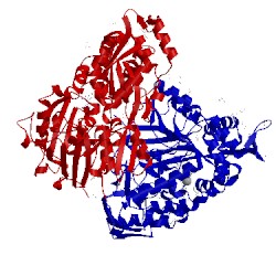 Image of CATH 4dcy