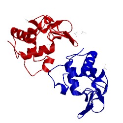 Image of CATH 4dd1