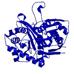 Image of CATH 4dd5