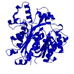 Image of CATH 4ddo