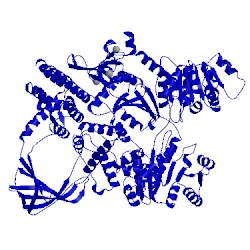 Image of CATH 4ddu