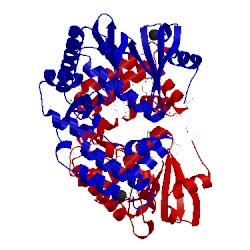 Image of CATH 4dfb