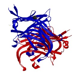 Image of CATH 4dfs