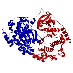 Image of CATH 4dfy