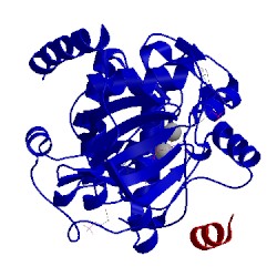 Image of CATH 4dh8