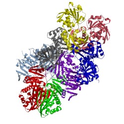 Image of CATH 4dib