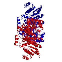 Image of CATH 4dif
