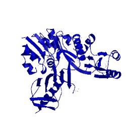 Image of CATH 4dim