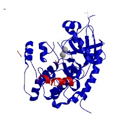 Image of CATH 4din