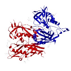 Image of CATH 4dkr