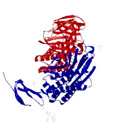 Image of CATH 4dlo