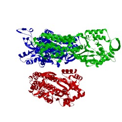 Image of CATH 4dlp