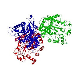 Image of CATH 4dm2