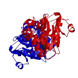 Image of CATH 4dm9