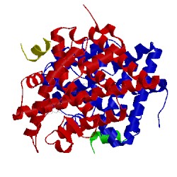 Image of CATH 4dma